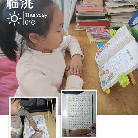 “馨宝宝”的缤纷假期