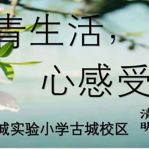 “青生活，心感受”——记新城实验小学古城校区清明节活动系列（一）之一年级语文组