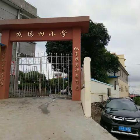 养成教育进行时