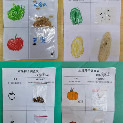 我的第一份调查表