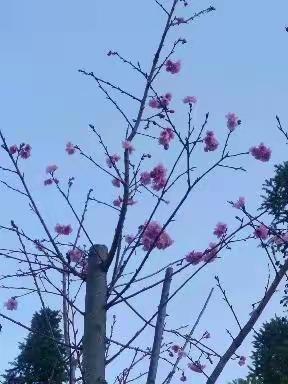 当“三八”节遇上家访月    笑靥如花幸福长（临沧分行“三八”节活动完结篇）