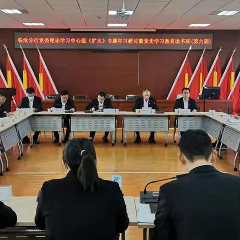 临沧分行党委理论学习中心组开展党的十九届六中全会精神专题（扩大）学习研讨