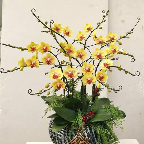 佛山木子兰苑园艺有限公司2021年春节年宵花（更新）