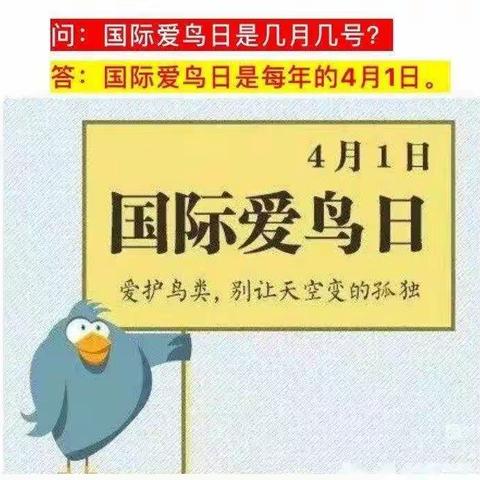 “爱鸟护鸟观鸟共享自然之美”－刁窝中学爱鸟周活动
