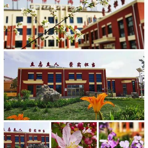 美化绿化校园   建设生态学校－刁窝中学