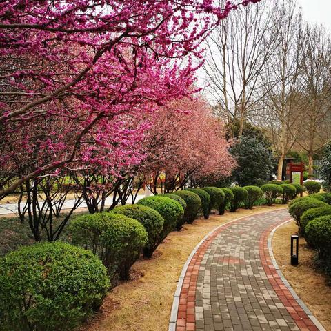 荥阳李商隐 刘禹锡公园访古游春