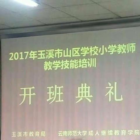 2017年玉溪市山区学校小学教师教学技能培训