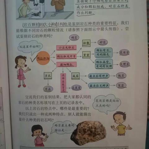 科学四单元1课2课                                    数学方程复习练习