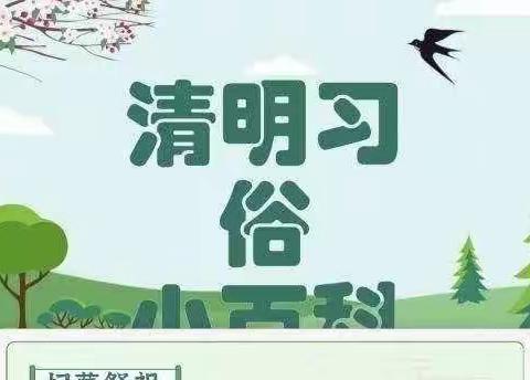 阳光大班清明节生成课