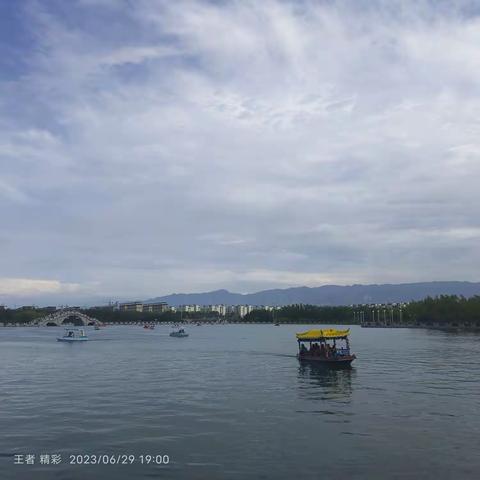 金色胡杨的美篇