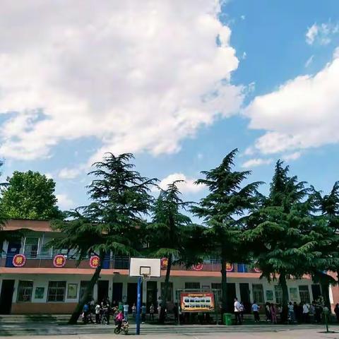 杨庄小学课后延时服务观摩会