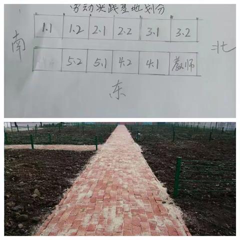 劳动获新知  实践促成长——乐安街道中心小学劳动实践课纪实