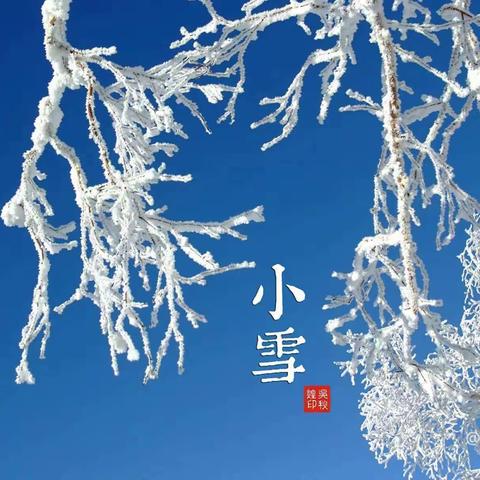 二十四节气“小雪”主题活动