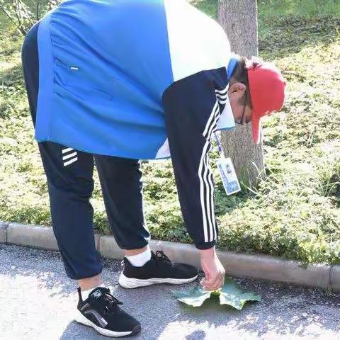 美丽的影子（2）