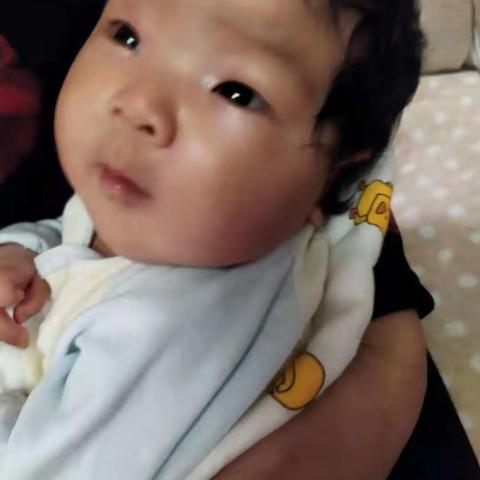 家有孙女，一种陶醉了的幸福