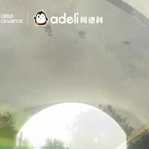 童状元会场已经布置好