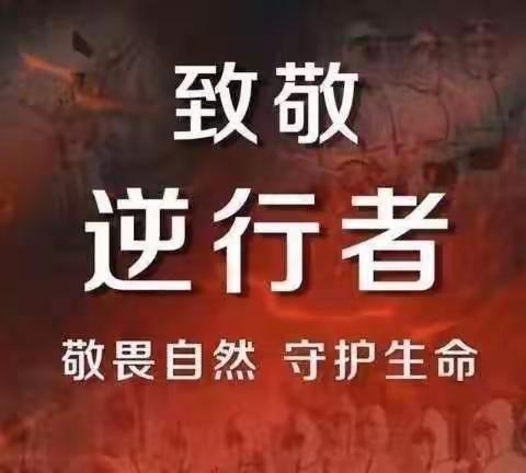【同心格】文东街道山师东路社区    共同战“疫”  安全防护