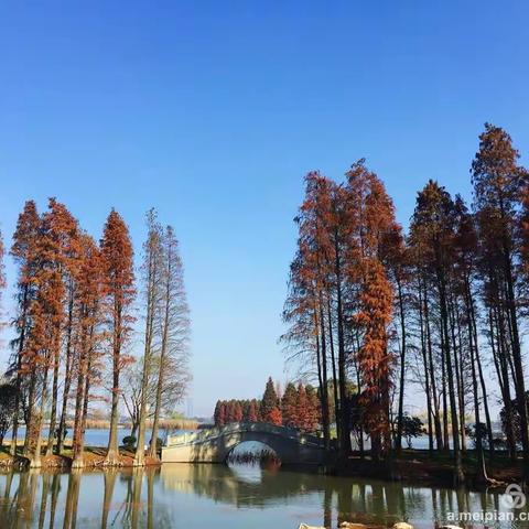 冬之魅----鼋头渚风景区