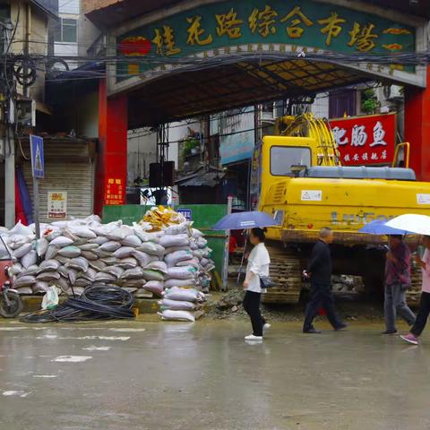 大雨又来了，镇安城能安然无恙吗？