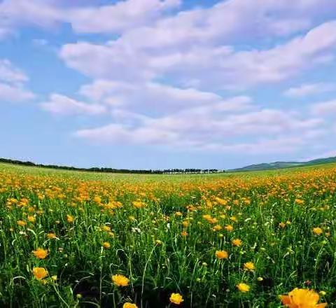 齐心协力 奋战陇海