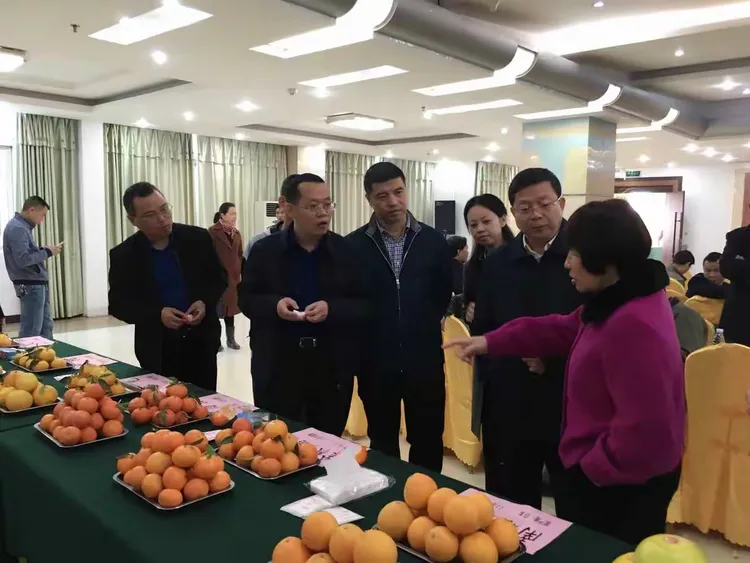 丰收的季节,柚相聚南康