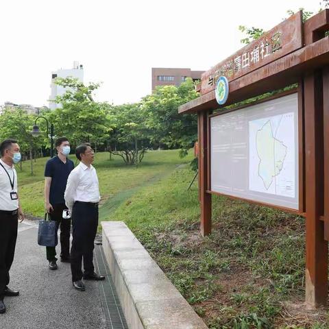 马田街道开展林长制巡查督查工作