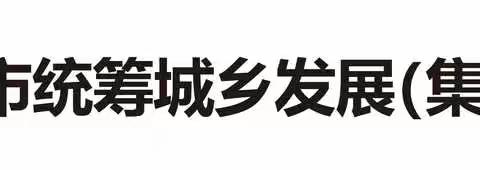 市统发公司举办自贸港专题培训暨“海口大讲坛”宣讲活动