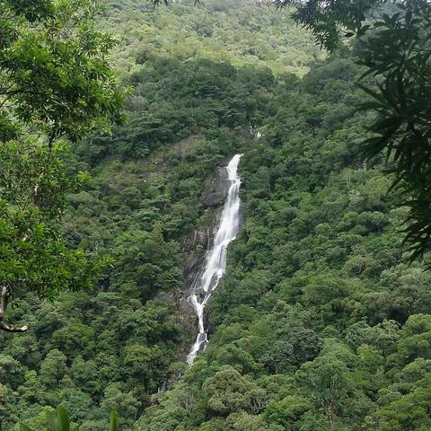 【 五指山～水满神瀑 】之旅