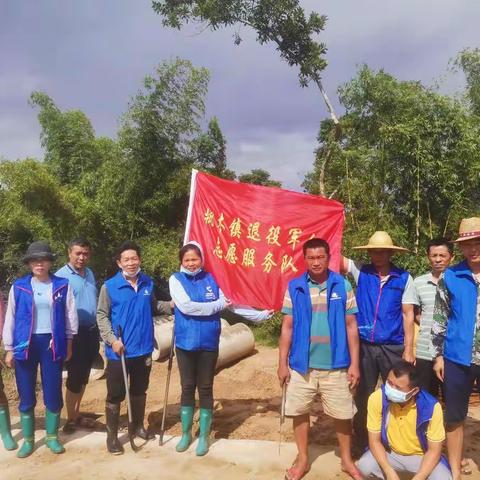 枫木镇退役军人服务站联合镇河长办开展“百日大战”水浮莲清理行动