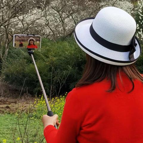 春暖花开的乡村（铜版村、落花坪）