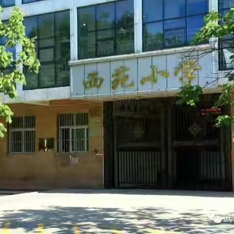 “相约最美五月天，网络教研谱新篇”——西苑小学共同体二年级语文网络教研活动纪实