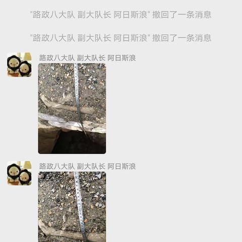 公路“啄木鸟”保护道路安全