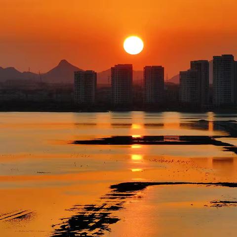 【散文诗】暮看潮汐落日，水边钓鱼人