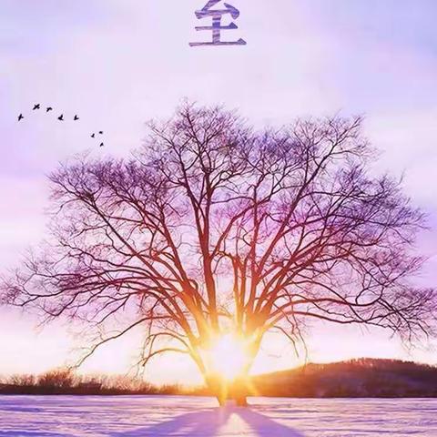 “快乐冬至，暖意融融”阿波罗幼儿园中班-《冬至》主题活动