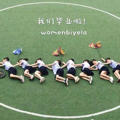 最美蒲公英  梦想齐飞扬