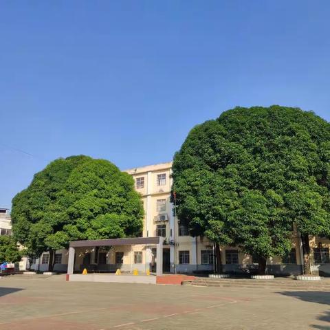 互相扶持，研修不止 ——横州市那阳镇中心学校小学数学学科第3组返岗研修活动