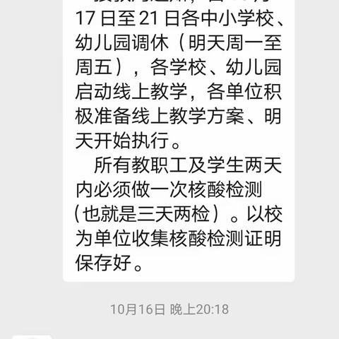 记灵井一中九年级网上教学 ——“唯有矢志不渝，笃行不怠， 方能不负初心，不负人民”
