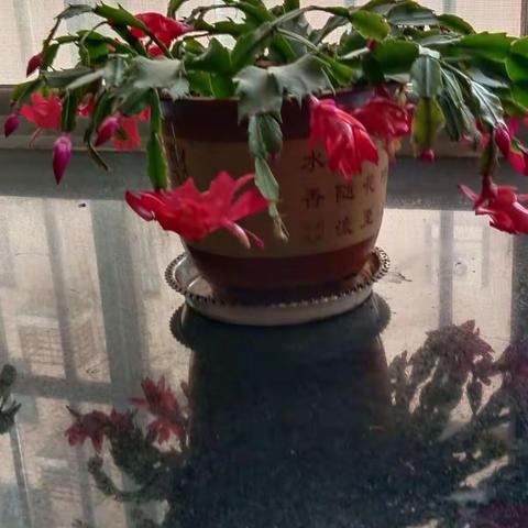 如何科学实用选择油？