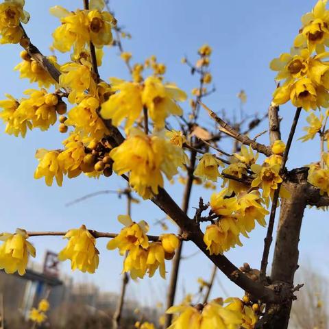 每天懂一点人情世故