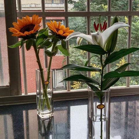 日常生活中的“三白”，“四黑”