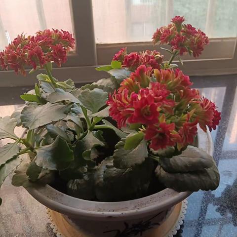 身体好比什么都好