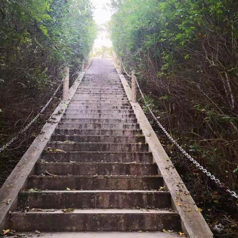 我国的面粉主要分布