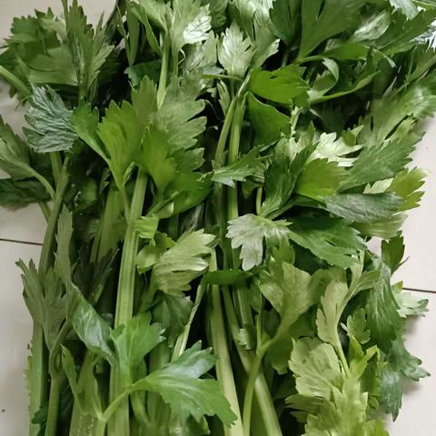 芹菜的营养价值