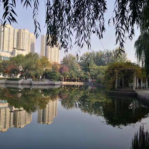 牛奶，豆浆 哪个营养价值高