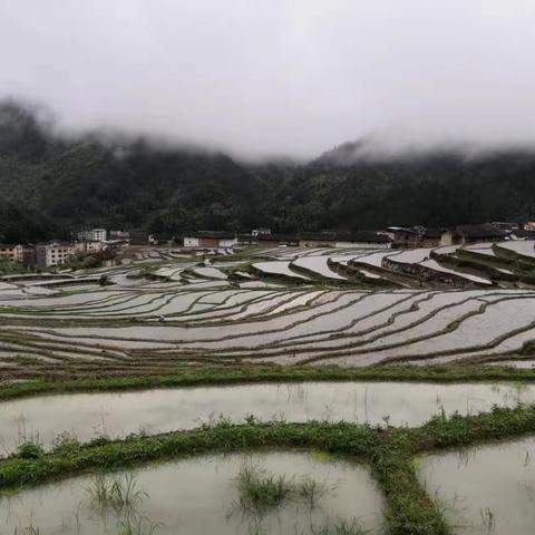 【田园类征文】游走在初溪土楼梯田间