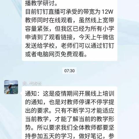 “停课不停学   停课不停研”——民乐小学线上培训札记