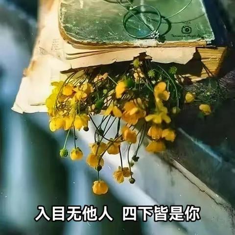 见字如面，轻问秋安