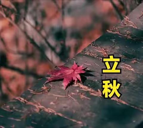 《秋》的声音