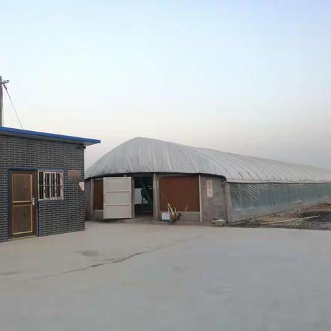 李圩村的扶贫兔添丁进口