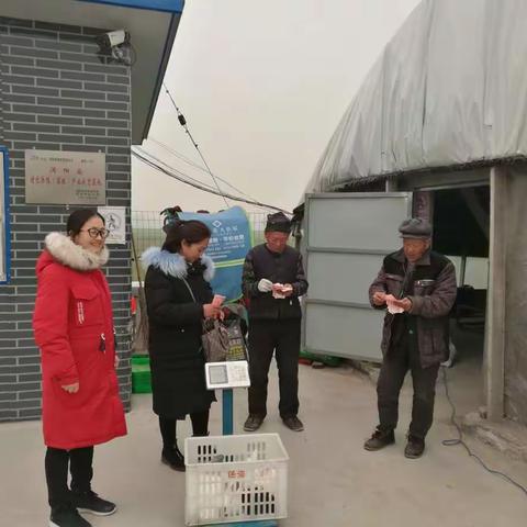 扶贫玉兔首出栏 养殖农户笑开颜